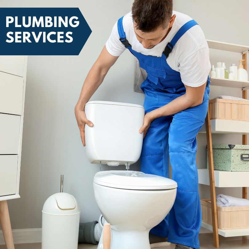 Plumbing Company in Camanche, IA
